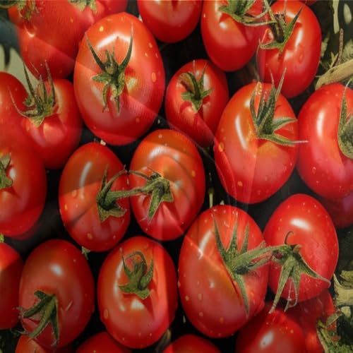 Tomate housse de couette 3D en microfibre douce avec sa taie d'oreiller pour lit single