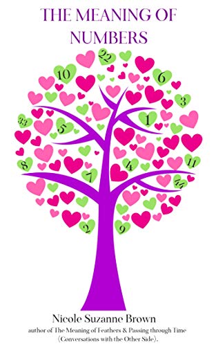 The Meaning of Numbers (English Edition)