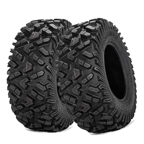 Set of 2 FORERUNNER 25X10-12 ATV Tires, 6PR Tubeless UTV Tires, All-terrain Tires