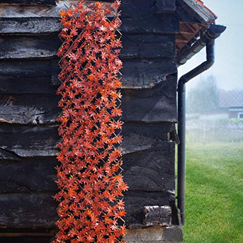 Smart Garden - Enrejado expandible para Hojas de Acer (1,8 x 0,9 m)