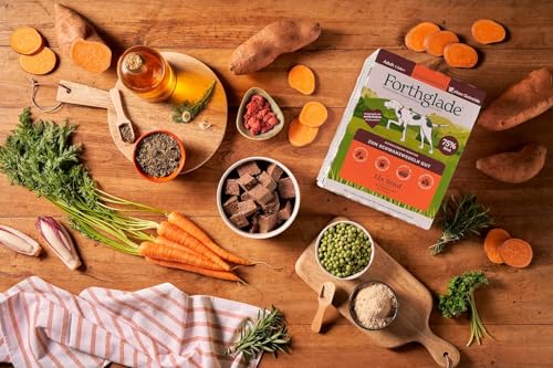 Forthglade Nassfutter für Hunde (12 x 395g Schalen), hypoallergenes & getreidefreies Futter für ausgewachsene Hunde ab 1 Jahr, Hundefutter mit Rind & Gemüse für sensible Hundemägen