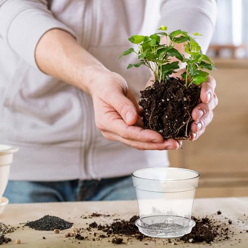 WSMKSZ 4 Inch Clear Nursery Pots, 8 Pack Highly Transparent Plant Pots for Small Indoor Plants with Drainage Holes and Trays, Plastic Seedling Starter Planters for Flowers - Image 2
