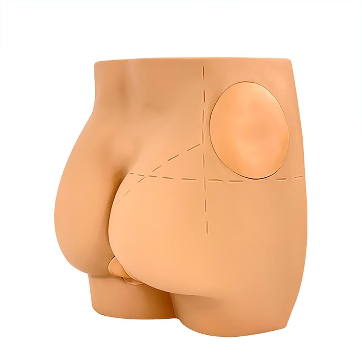 Buttock Muscle Injection Practice Model with Removable Skin Module and Rectal Module for Science & Technology Students Teaching Model