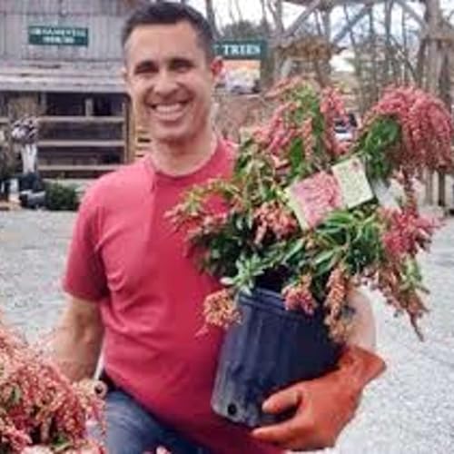 Joe Gloria Garden Guru at Gilbertie's Nursery Westport copertina