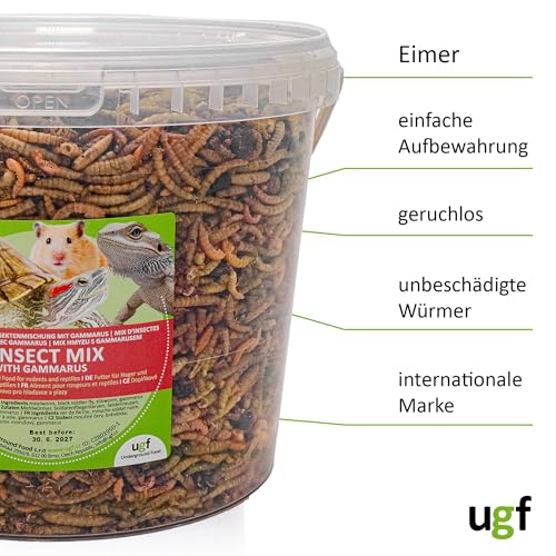 UGF - Insektenmischung mit Gammarus - 500g im 3 Liter Eimer, Igelfutter, Rennmausfutter, Hamsterfutter, Rattenfutter, Eidechsenfutter - Mehlwürmer, Soldatenfliegenlarven, Seidenraupen, Gammarus