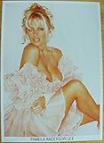  Pamela Anderson Poster Nr. 6 Format 64 x 90 cm