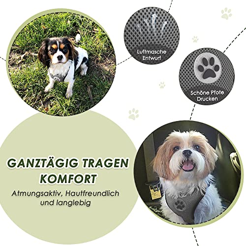 Eyein Hundegeschirr mit Sicherheitsgurt für Auto, 2 Karabinerhaken - verbunden mit Sicherheitsgurt-Schnalle, Kinder-Sicherheitssitz oder Trunk, verstellbare atmungsaktiv Geschirr (Grau, S)