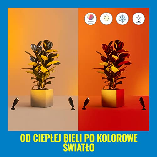Philips Inteligentny Reflektor Ogrodowy, Wi-Fi, Bluetooth, Wiele Odcieni Bieli, Szeroka Paleta Kolorów, Sterowanie Aplikacją