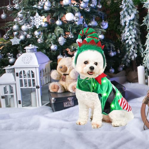 Disfraz Navideño de Duende para Perro con Banda LED miniatura 4