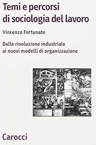 Temi e percorsi di sociologia del lavoro. Dalla rivoluzione industriale ai nuovi modelli di organizzazione