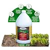 Medina Humate Humic Acid for Plants - Concentrated Liquid Compost, Humic Acid for Lawn - Enhance Plant Growth, Moisture Retention, Nutrient Absorption - Humates for Soil - 1 Gal Covers 8000 Sq. Ft.