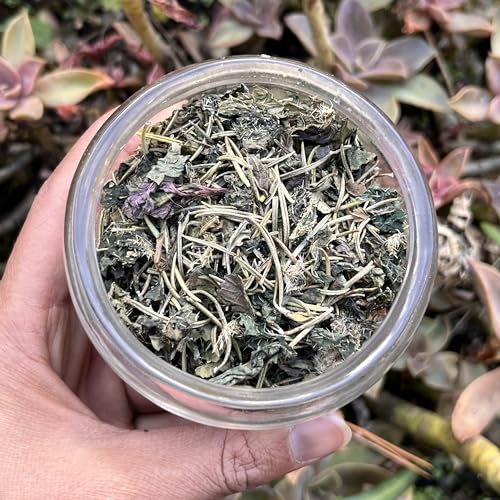 Image of Himalayan Haat Stinging Nettle, Rosemary & Peppermint Infusion - Caffeine-Free Herbal Tea Blend | Detoxifies, Improves Focus & Memory | Supports Kidney & Bone Health | 30g
