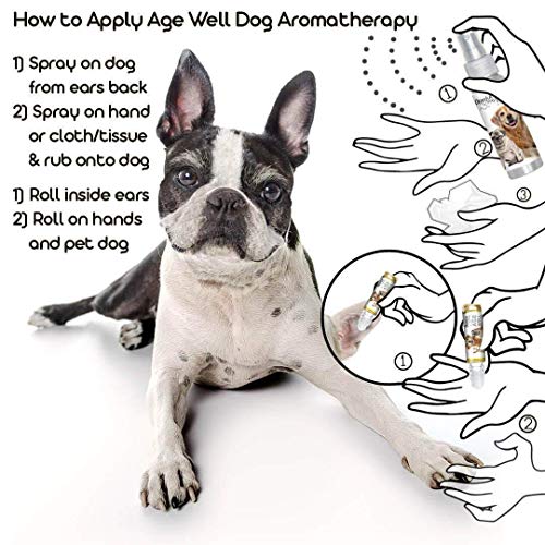 Image of The Blissful Dog Boston Terrier Age Well Dog Aromatherapy Roll-On Bottle for Your Dog's Peaceful Ageing