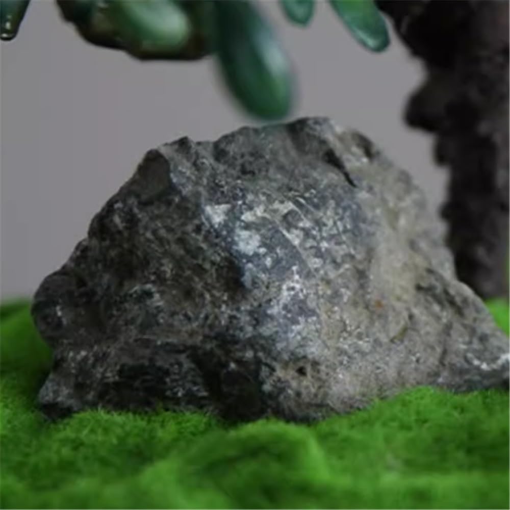 Künstlicher Bonsai-Baum Künstlicher Bonsai-Baum, gefälschte grüne Pflanze for den Innenbereich, Topfpflanze for Wohnzimmer, Heimdekoration Bonsai Kunstpflanze