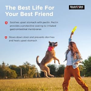Nutri-Vet Anti-Diarrhea Liquid for Dogs | Helps Sooth Upset Stomach & Stop Diarrhea | Veterinarian Formulated | 4oz Nutri-Vet Anti-Diarrhea Liquid for Dogs | Helps Sooth Upset Stomach & Stop Diarrhea | Veterinarian Formulated | 4oz
