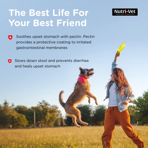 Nutri-Vet Anti-Diarrhea Liquid for Dogs | Helps Sooth Upset Stomach & Stop Diarrhea | Veterinarian Formulated | 4oz Nutri-Vet Anti-Diarrhea Liquid for Dogs | Helps Sooth Upset Stomach & Stop Diarrhea | Veterinarian Formulated | 4oz