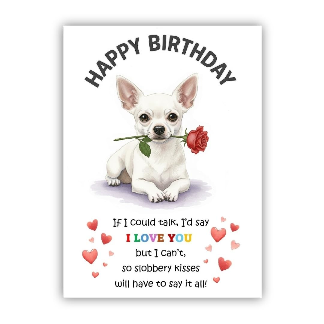 Dog Birthday Card – Cute Puppy with Rose – Birthday Card from the dog to the owner, Mum, Dad, Mummy, Daddy, Mother, Father (• Chihuahua white)