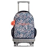SKYMOVE 18 inch Multi-Compartment Double Handle Wheeled Student School Rolling Backpack for Girls Bu