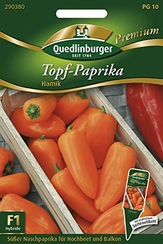 Quedlinburger 290380 Topf-Paprika Hamik F1 (Paprikasamen)