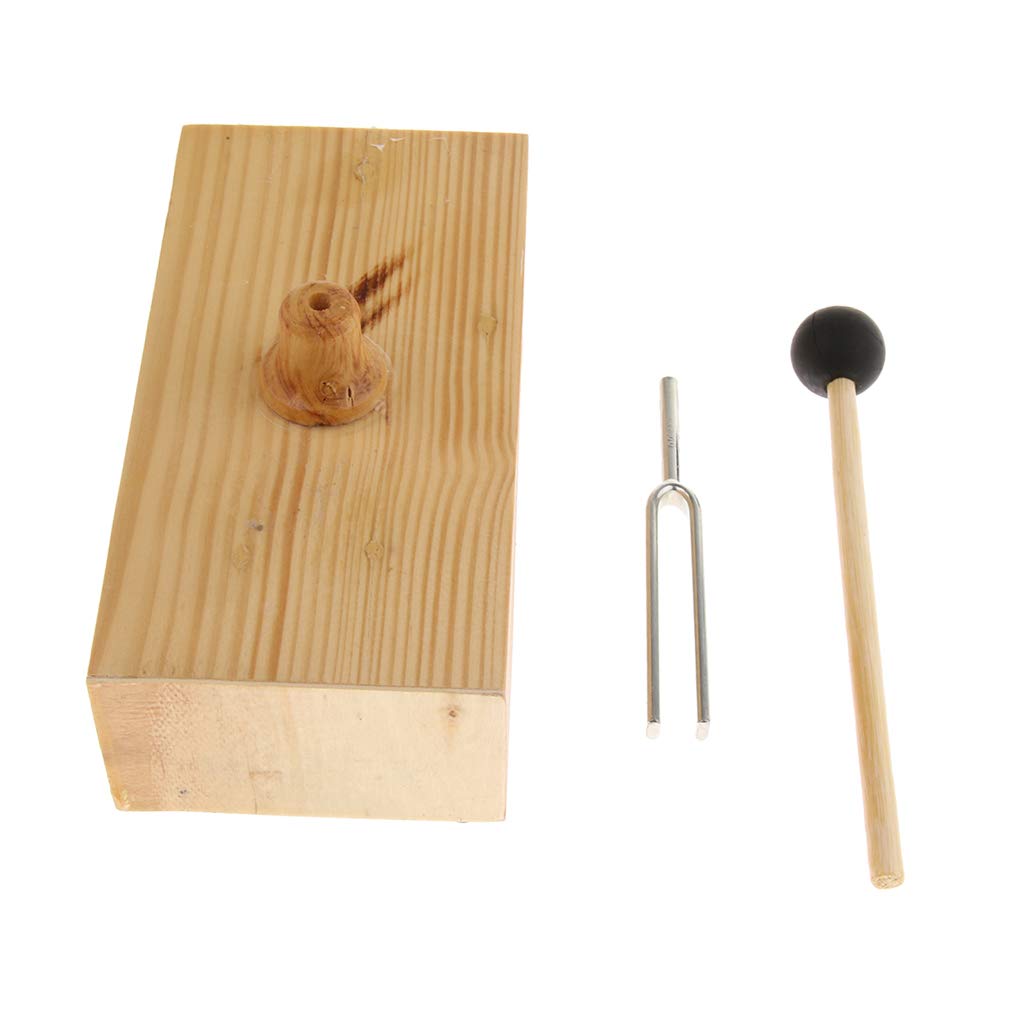 Stimmgabel, 440 Hz, mit Resonanzbox aus Holz, Musikinstrument, akustisches Studium, 5 Stück