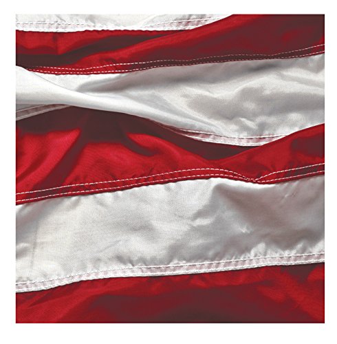 Creative Converting 16 Count Paper Beverage Napkins, Patriotic Symbol