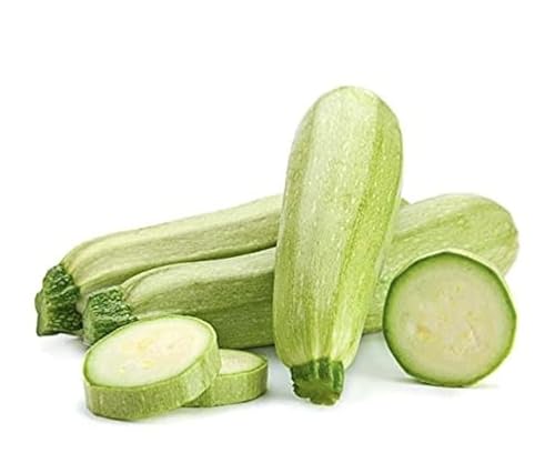 This Is A Mix!!! 50+ Zucchini And Squash Mix Seeds 12 Varieties Non-Gmo Delicious Grown In Usa. Fast Growing, Rare, Super Profilic, #TOP2