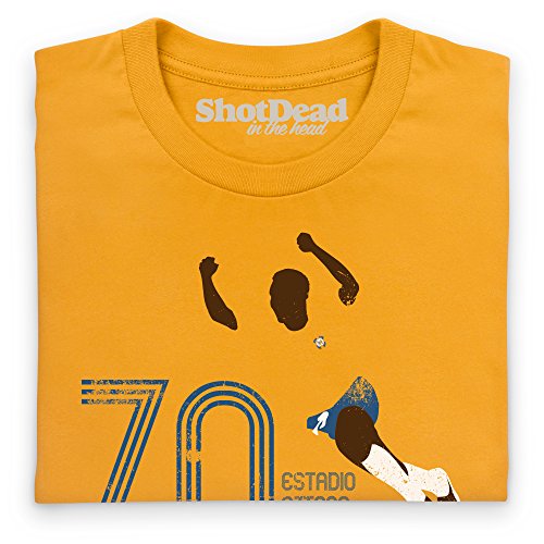 Shotdeadinthehead Football Icons Brazil 1970