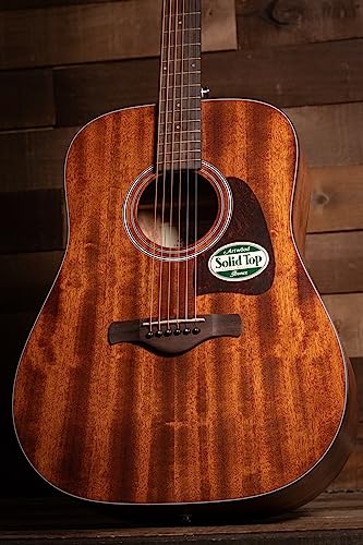 Ibanez Aw54Opn Artwood Dreadnought Acoustic Guitar - Open Pore Natural #TOP7