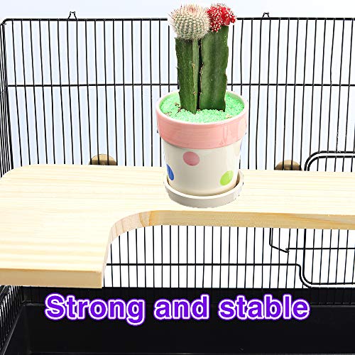GNB PET Natural Wood Stand Platform for Hamster,Chinchilla, Mouse,Rat,Gerbil,Dwarf Hamster, L Shape Stand Springboard Platform with 304 Stainless Steel Washers - Image 6