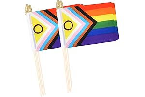Mini Pride Flag - Express Your Pride!