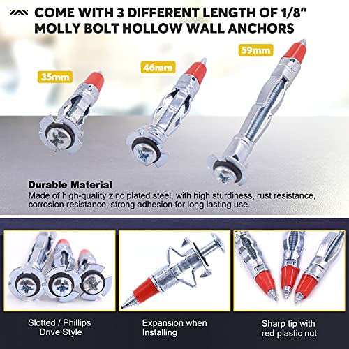 Mardatt 76Pcs 1/8” 3/16” 1/4” Toggle Bolt and Molly Bolt Hollow Wall ...