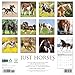 Horses 2026 Wall Calendar