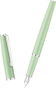 Hongdian 920 Fu00fcllfederhalter, Weiu00dfes Etall, Ittlere Feder