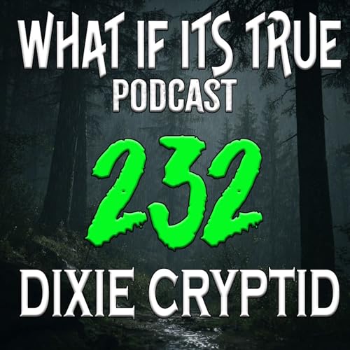 Archive 232 Bigfoot Stories