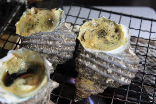 瀬戸内海産のサザエ1個 80g 3枚目