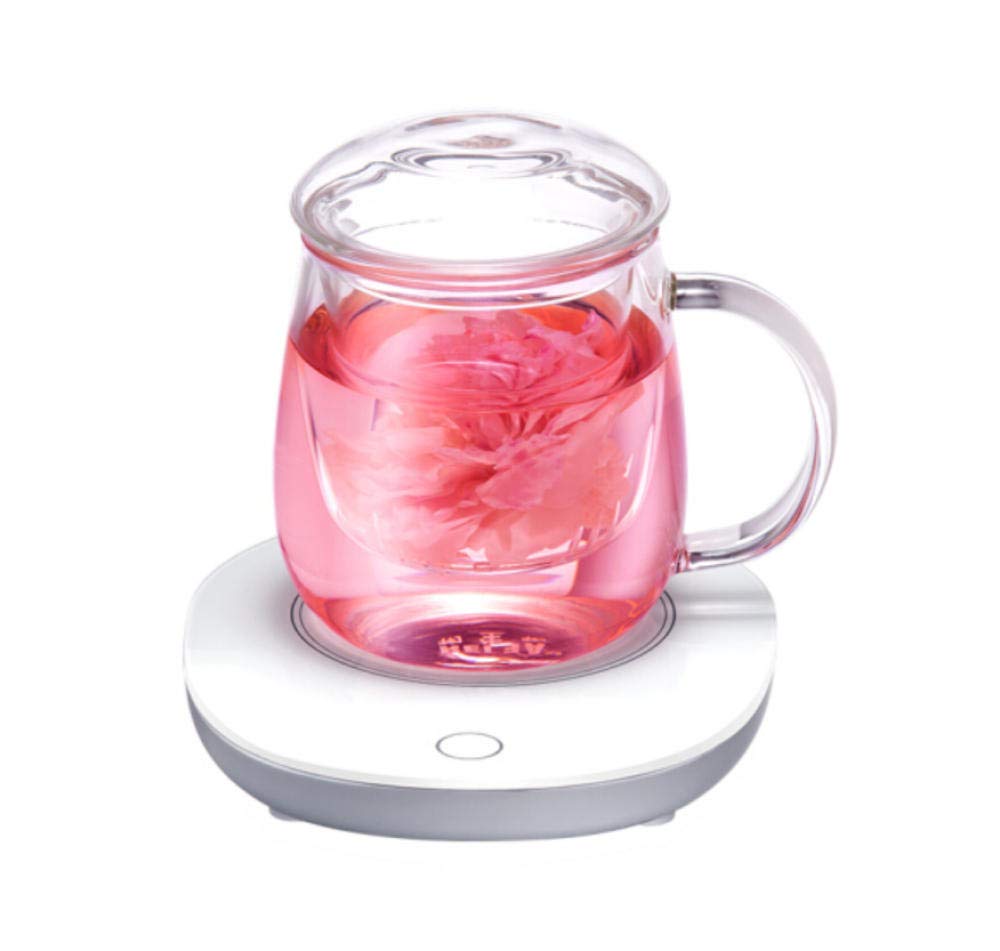 Vaso de agua con filtro termostato de vidrio ideal para mantener tus infusiones calientes en la oficina
