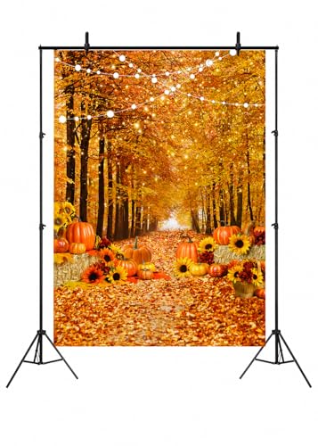 Toile d'automne pour photo : dites adieu aux décors ternes