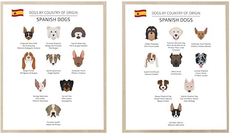 Amazon スペイン語犬品種コレクションイラスト版画ペットショップポスター壁アートパネル装飾犬恋人ギフトアイデアキャンバス絵画インテリア写真40x50cmx2 Unframed アートフレーム ポスター オンライン通販