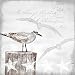 Produktbild Ambiente Servietten Lunch / Party / Fest ca. 33x33cm Seagulls - Ideal Als Geschenk
