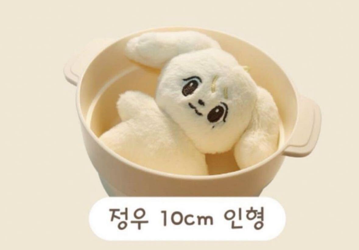 Amazon.co.jp: 中 NCT ジョンウ ぬいぐるみ 10cm ② : おもちゃ