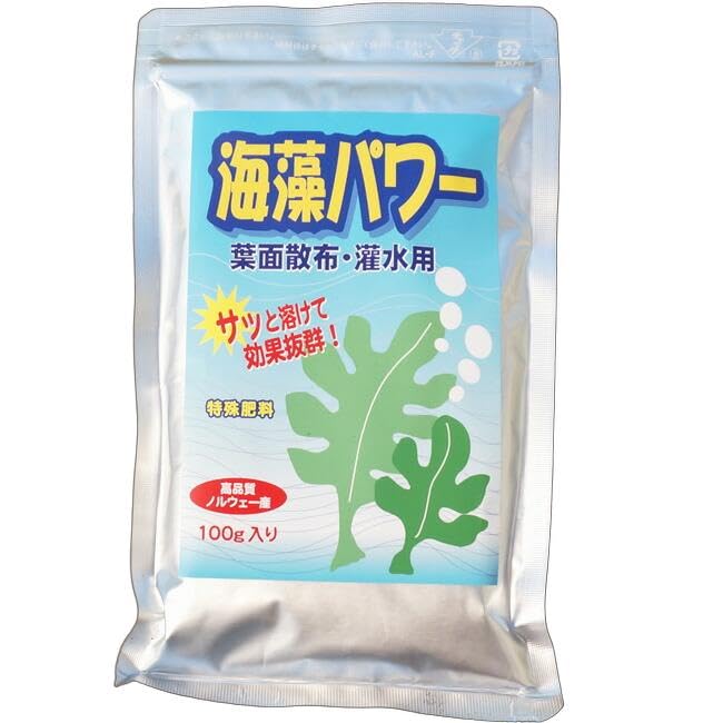 「Paeonia　lactiflora様御専用」鳴海志ぼり洗い前綿100% Amazon | 【海藻のパワー】 （100g） ミネラル,アミノ酸入り活力
