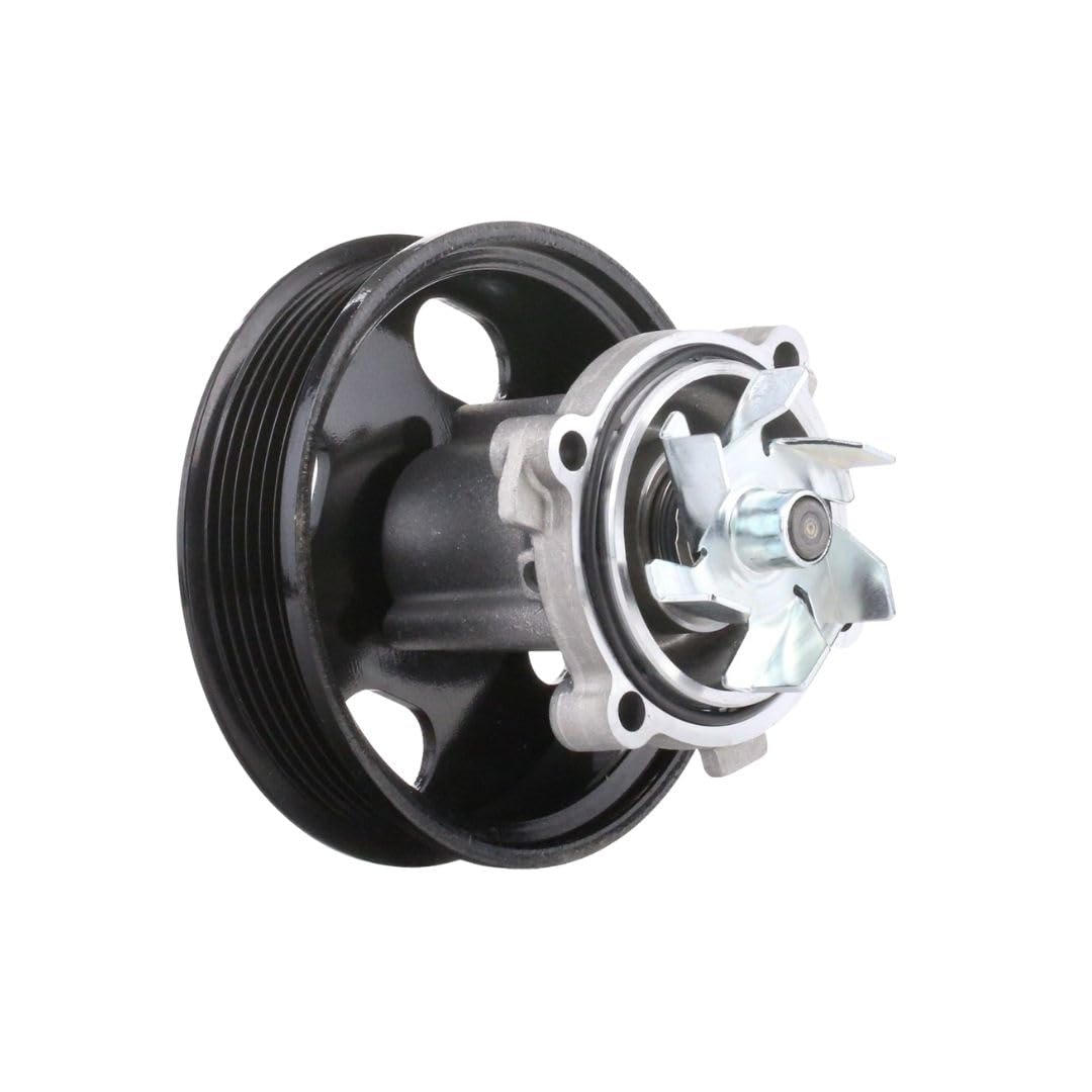 Kit Catena Distribuzione Compatibile con Fiat Punto 1.3 Multijet con Pompa e Cinghia Servizi