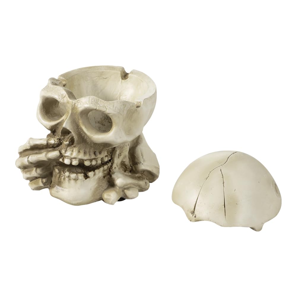 Amazon.co.jp: 髑髏 頭蓋骨 模型 ハロウィン 飾り ガラ空き ドクロ