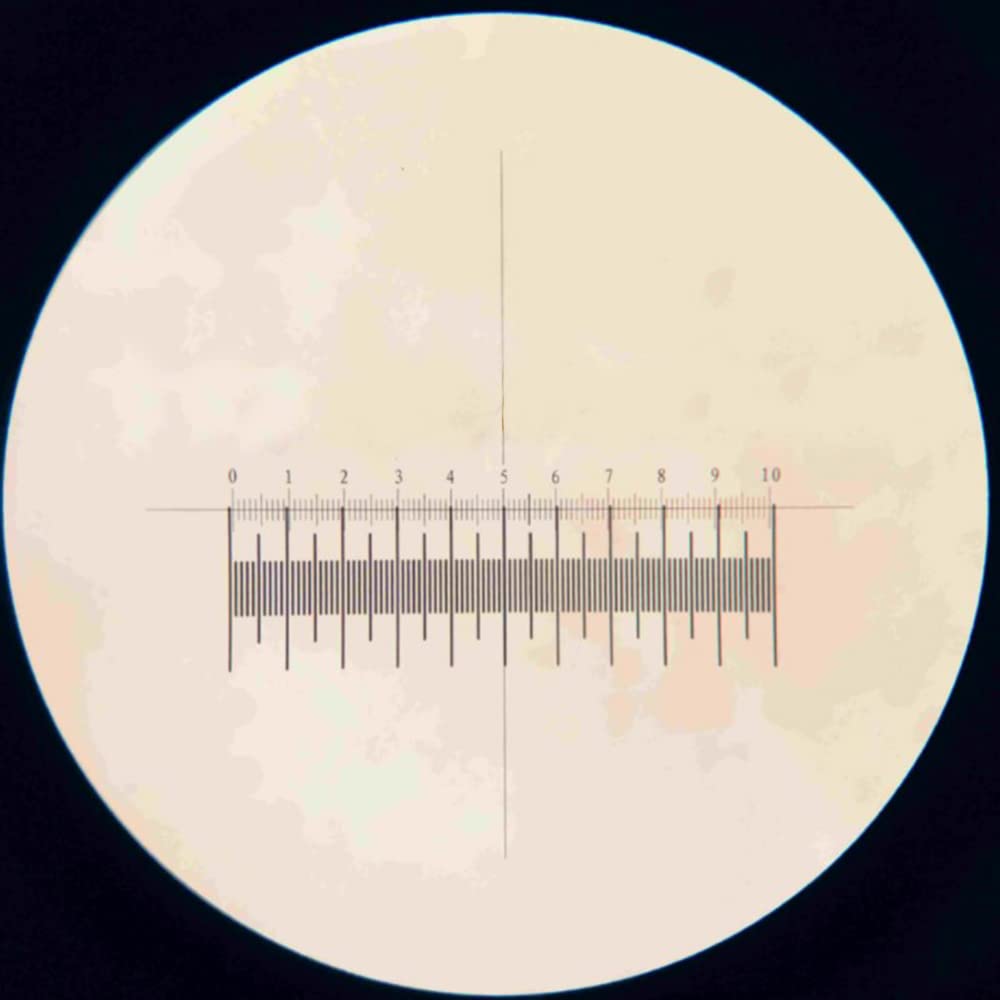 Diapositive D'étalonnage Microscope - 0,01 Mm, 25 X 75 Mm - Réticule Micrométrique