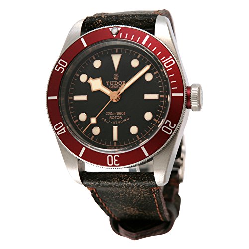 [�`���[�h��] �r���v 79220R ���s�A���i �u���b�N