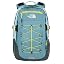 Light Blue/Green