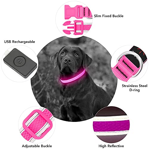 YFbrite Leuchtendes Hundehalsband, wiederaufladbares LED-Hundehalsband, verstellbares reflektierendes Hundehalsbands, Sicherheit leuchtet bei Nacht (Rosa, L)