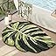 Dark Monstera