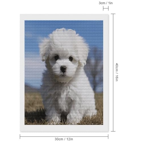 Kits de pintura de diamantes 5D para adultos y principiantes de Bichón Frisé 2