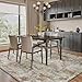 tchdio Area Rug 5x7 Rugs for Living Room- Abstract Soft Living Room Rug-Non Slip Carpet-Machine Washable Rug for Bedroom Dining Room Home Office Modern Rugs Light Grey/Brown/Beige